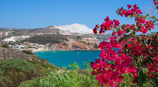 Villa Kapari, plants and appliances Villa Kapari, plants and appliances