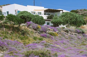 Villa Kapari house Villa Kapari house